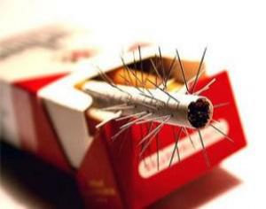 Упаковка сигарет все еще обманывает покупателей