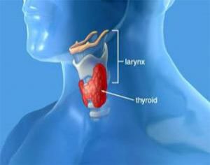 Дамские капризы щитовидки