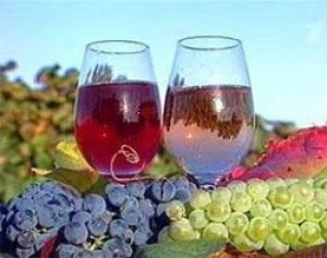 Красноватое и белоснежное вино разаково оказывают влияние на риск развития рака молочной железы