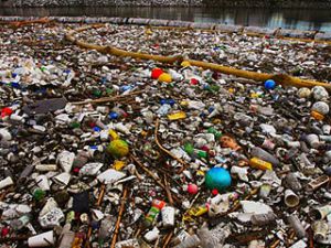 Экологи отыскали мусорный полуостров в океане