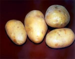 Картофель - спасение для организма