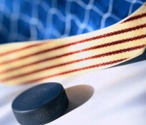 Хоккей:В Берн на матч с венграми россияне полетели без Сушинского и Михнова