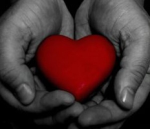 В экспертный совет «Пурпурное сердце-2009» вошли 26 кардиологов