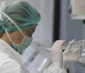 ВОЗ может объявить опасность пандемии из-за «свиного гриппа»