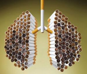 Курение полезно для здоровья, говорят южноамериканские ученые