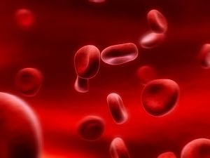 Менструальная кровь - новый источник стволовых клеток