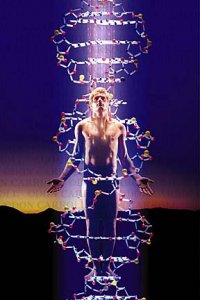 ДНК передает свою структуру на расстоянии