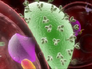 Антиретровирусные препараты понижают риск передачи ВИЧ