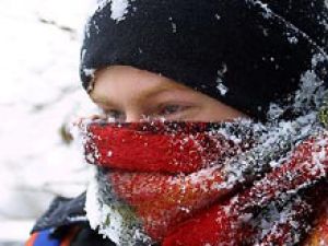 Жирные кислоты помогают внутренним органам работать зимой