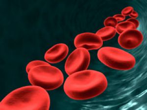 Сенсация: искусственно сделанные клеточки крови в первый раз пересадили человеку