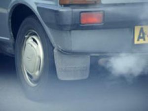 Выхлопные газы помогают городским жителям справиться со стрессом