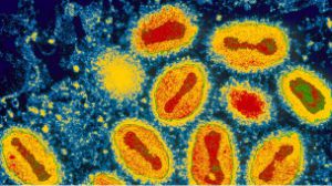 Должны ли США и Наша родина убить припасы вируса оспы?