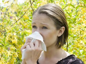 Спрей с целлюлозой – универсальная защита от аллергии