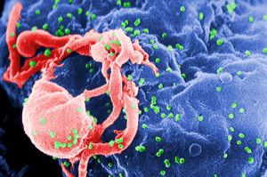 Тесты революционной вакцины против ВИЧ на людях начнутся в ближний год