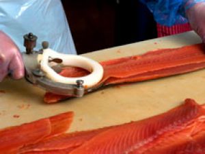 Голландский лосось оказался в центре массовой вспышки сальмонеллеза