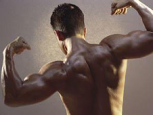 Сильные мускулы гарантируют: человек не умрет ранее 55 лет