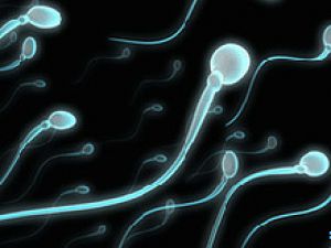 Ультразвук имеет все шансы стать контрацептивом для парней