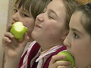 Диетологи пописали, как правильно питаться школьникам