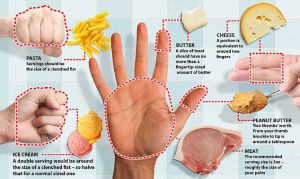 Пытаясь похудеть, попытайтесь «ручную» диету: мерьте порции, используя только пальцы и ладонь