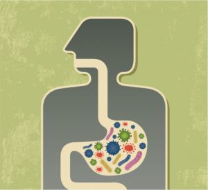 Изменение микробов вашего кишечного тракта может посодействовать вам жить подольше