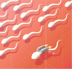 Качество спермы определяет здоровье вашего отпрыска