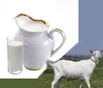 Козье молоко - полезность и вред, калорийность