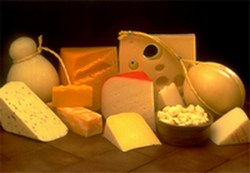 Полезность сыра для здоровья