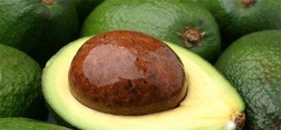 косточка и листья авокадо небезопасны