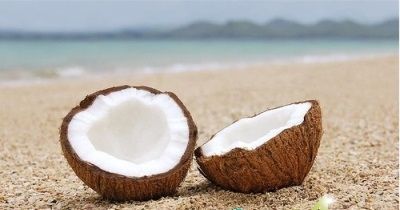 целительные свойства кокоса