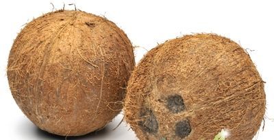 кокос и укрепление иммунитета