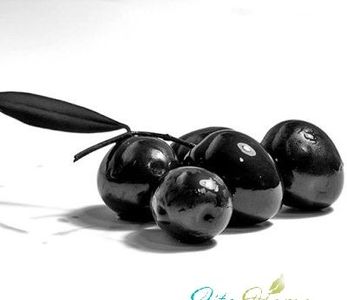 маслины и косметические свойства