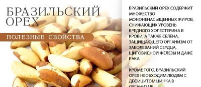 лечебные свойства грецкого орешка