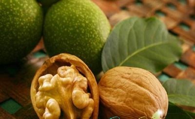 плоды грецкого орешка и их состав