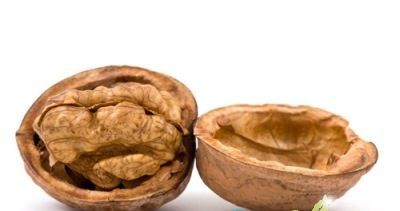 грецкий орех и его целительные свойства