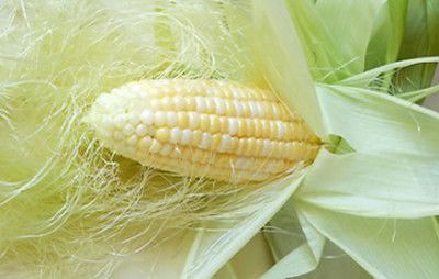 кукуруза и целительные рецепты
