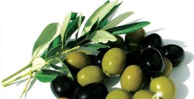 оливки и их косточки